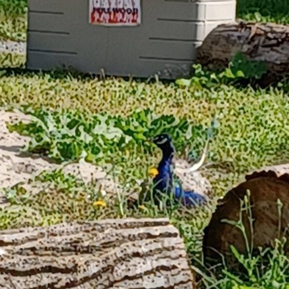 Meet your Posher, James - Picture 1 of 1